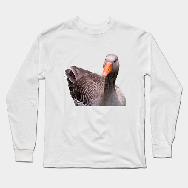 Greylag Goose Long Sleeve T-Shirt by Michelle Le Grand